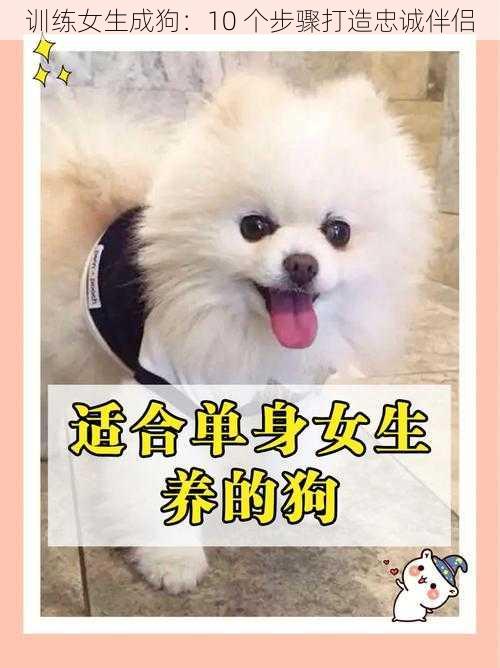 训练女生成狗:10 个步骤打造忠诚伴侣