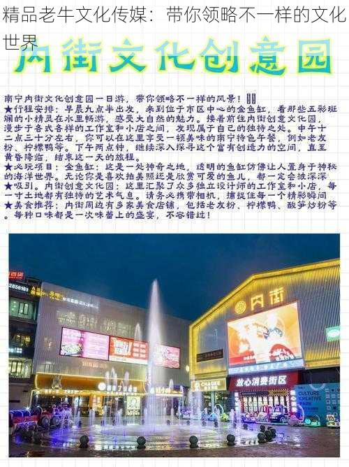 精品老牛文化传媒:带你领略不一样的文化世界