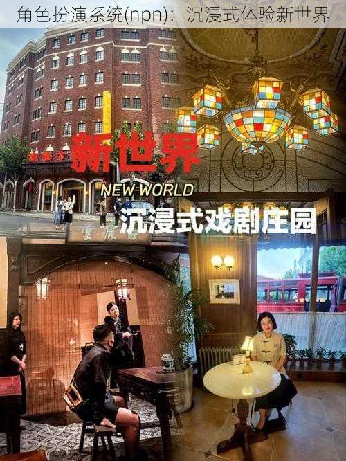 角色扮演系统(npn):沉浸式体验新世界