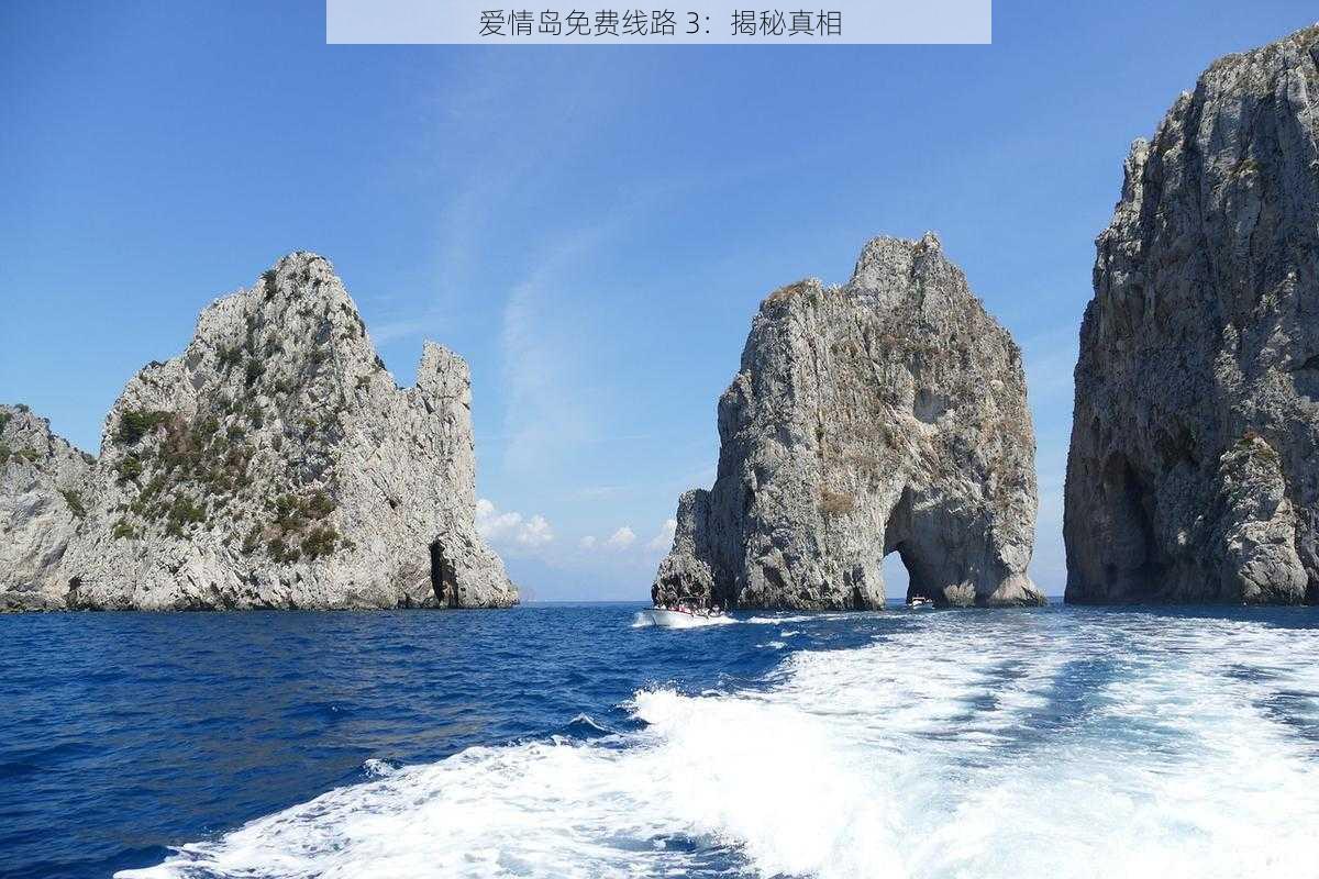 爱情岛免费线路 3:揭秘真相