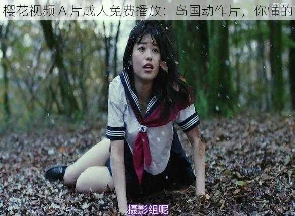 樱花视频 A 片成人免费播放:岛国动作片,你懂的