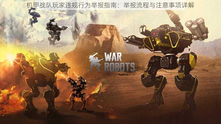 机甲战队玩家违规行为举报指南:举报流程与注意事项详解