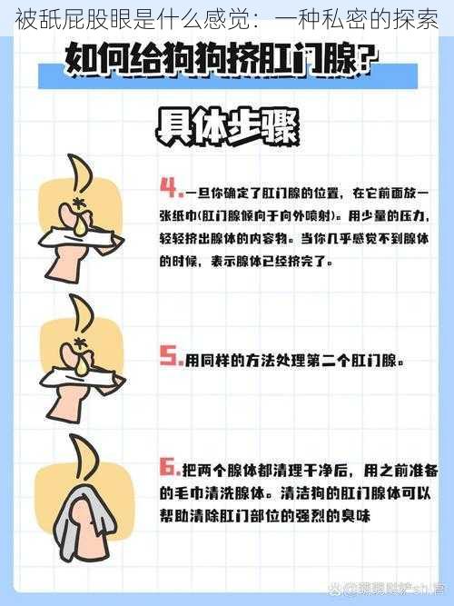 被舐屁股眼是什么感觉:一种私密的探索