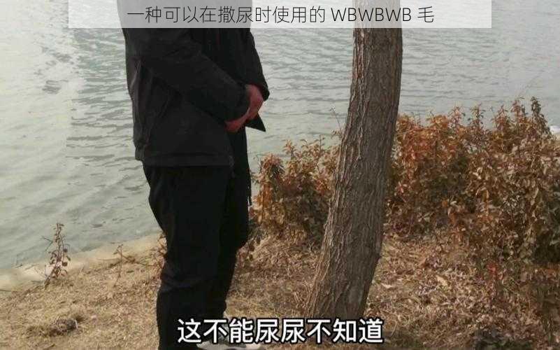 一种可以在撒尿时使用的 WBWBWB 毛