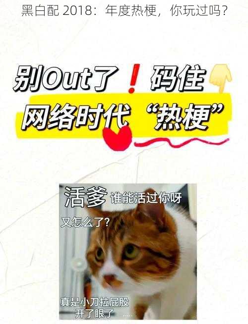 黑白配 2018:年度热梗,你玩过吗?