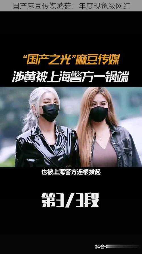 国产麻豆传媒蘑菇:年度现象级网红