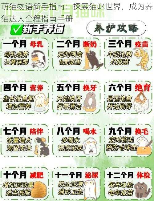 萌猫物语新手指南:探索猫咪世界,成为养猫达人全程指南手册