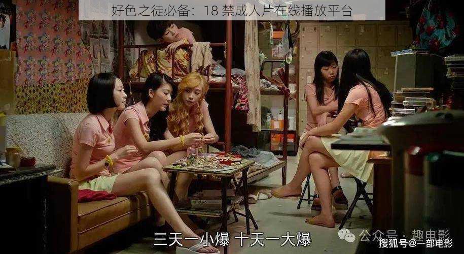 好色之徒必备:18 禁成人片在线播放平台