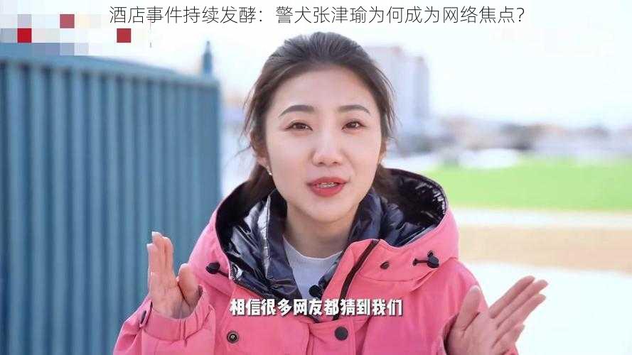 酒店事件持续发酵:警犬张津瑜为何成为网络焦点?
