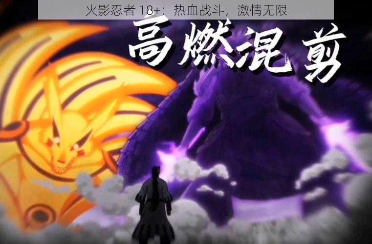 火影忍者 18+:热血战斗,激情无限