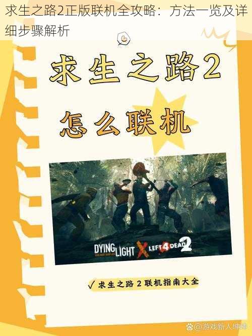求生之路2正版联机全攻略:方法一览及详细步骤解析