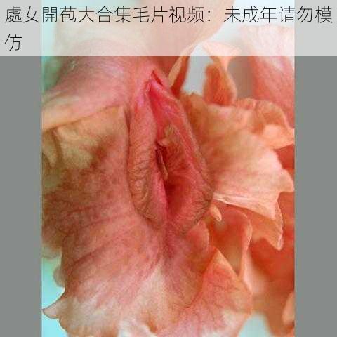 處女開苞大合集毛片视频:未成年请勿模仿