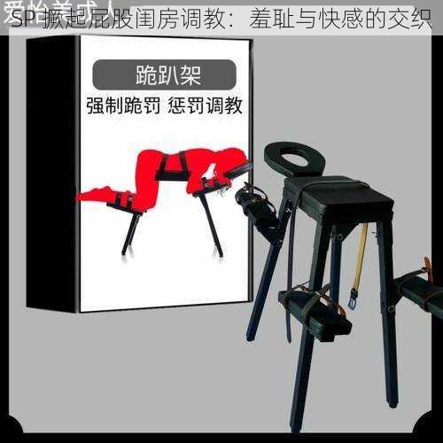 SP 撅起屁股闺房调教:羞耻与快感的交织