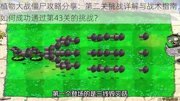 植物大战僵尸攻略分享:第二关挑战详解与战术指南,如何成功通过第43关的挑战?