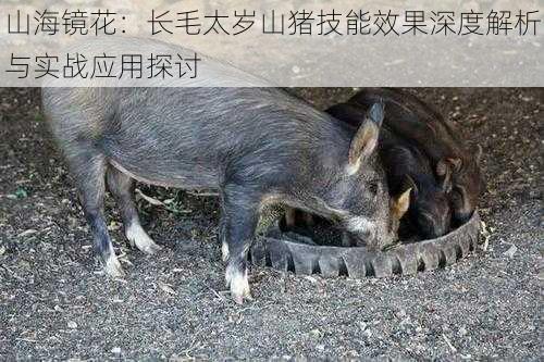 山海镜花:长毛太岁山猪技能效果深度解析与实战应用探讨
