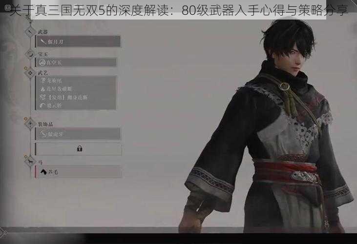 关于真三国无双5的深度解读:80级武器入手心得与策略分享
