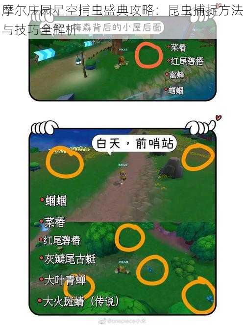 摩尔庄园星空捕虫盛典攻略:昆虫捕捉方法与技巧全解析