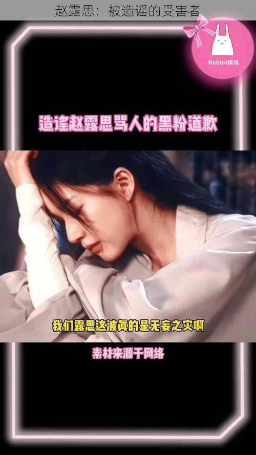赵露思:被造谣的受害者