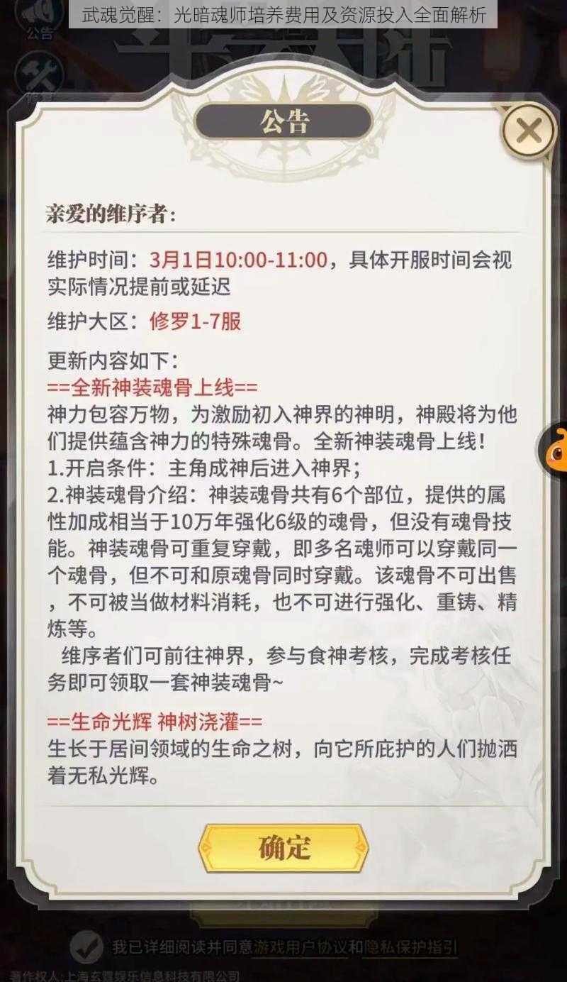 武魂觉醒:光暗魂师培养费用及资源投入全面解析