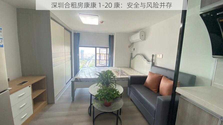 深圳合租房康康 1-20 康:安全与风险并存