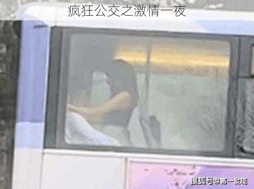 疯狂公交之激情一夜