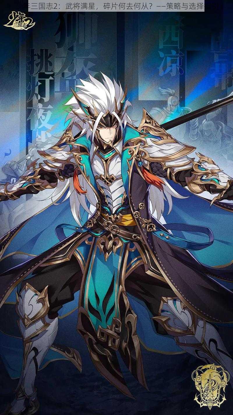 少年三国志2:武将满星,碎片何去何从?——策略与选择指引