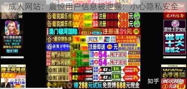 成人网站:震惊用户信息被泄露:小心隐私安全