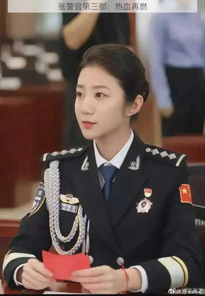 张警官第三部:热血再燃