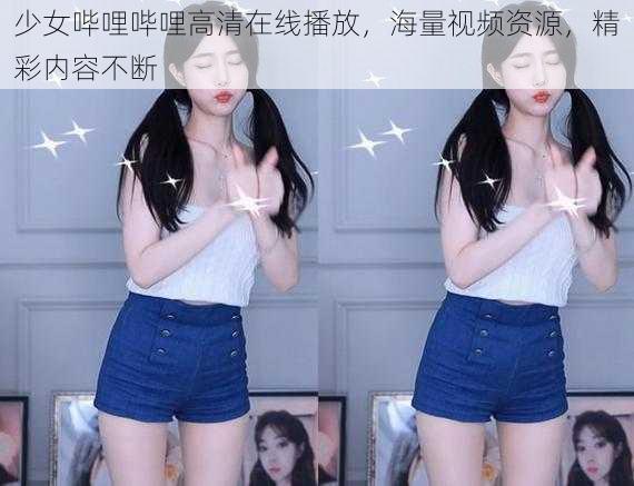 少女哔哩哔哩高清在线播放,海量视频资源,精彩内容不断