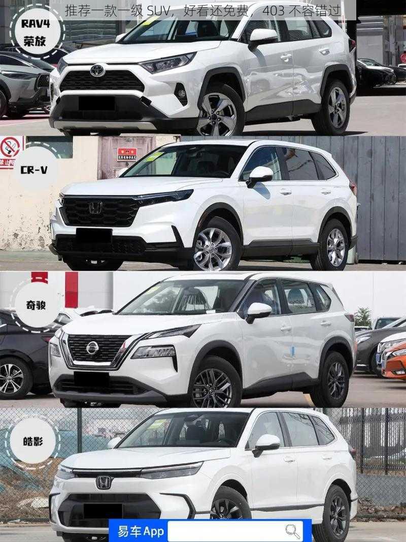 推荐一款一级 SUV,好看还免费,403 不容错过