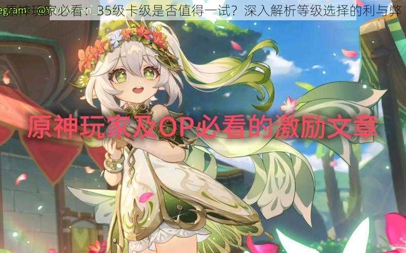 原神玩家必看:35级卡级是否值得一试?深入解析等级选择的利与弊