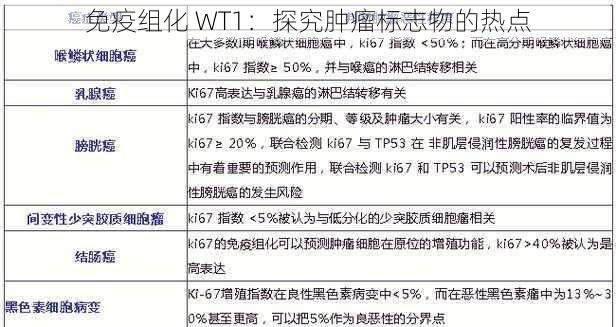 免疫组化 WT1:探究肿瘤标志物的热点