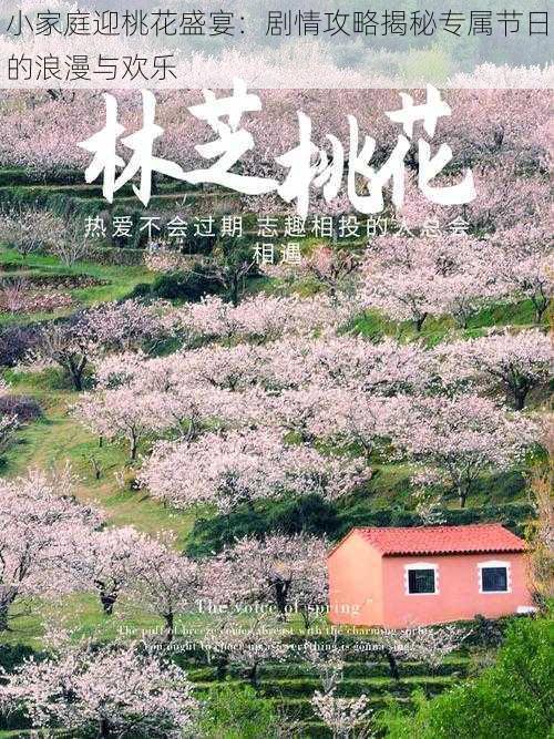 小家庭迎桃花盛宴:剧情攻略揭秘专属节日的浪漫与欢乐
