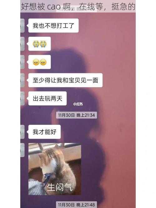 好想被 cao 啊,在线等,挺急的