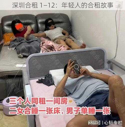 深圳合租 1―12:年轻人的合租故事