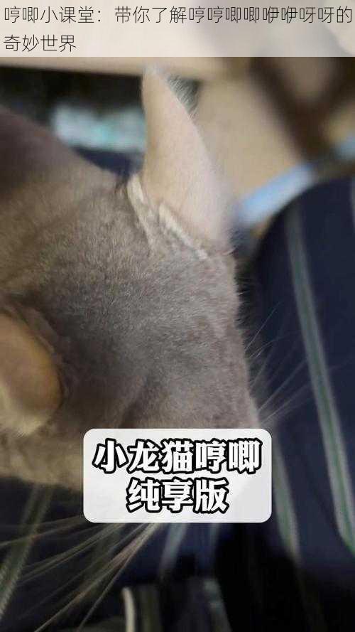 哼唧小课堂:带你了解哼哼唧唧咿咿呀呀的奇妙世界