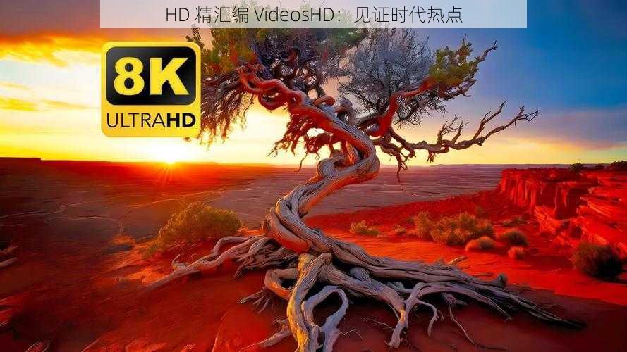 HD 精汇编 VideosHD:见证时代热点