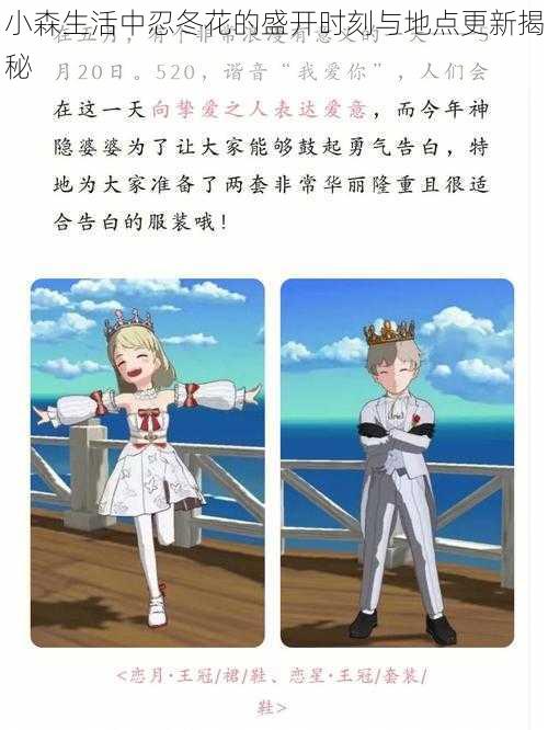 小森生活中忍冬花的盛开时刻与地点更新揭秘