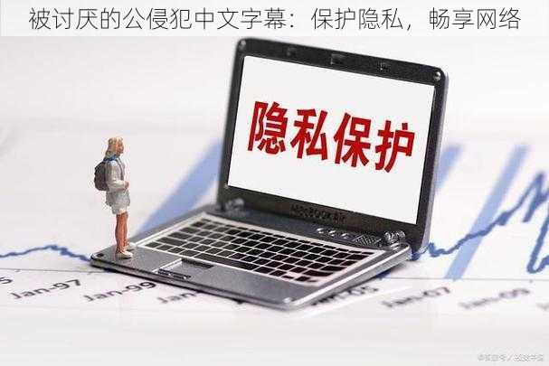 被讨厌的公侵犯中文字幕:保护隐私,畅享网络