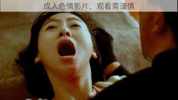 成人色情影片,观看需谨慎