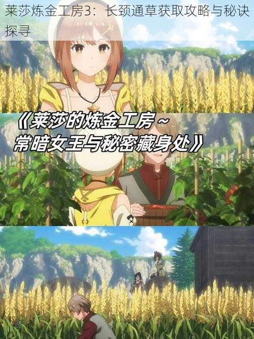 莱莎炼金工房3:长颈通草获取攻略与秘诀探寻