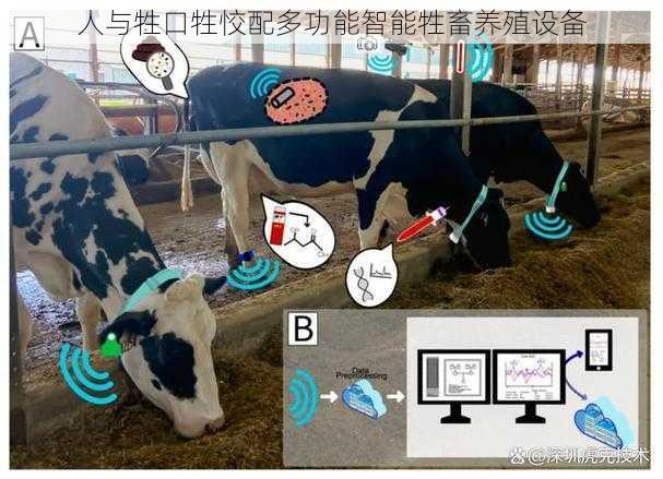 人与牲口牲恔配多功能智能牲畜养殖设备