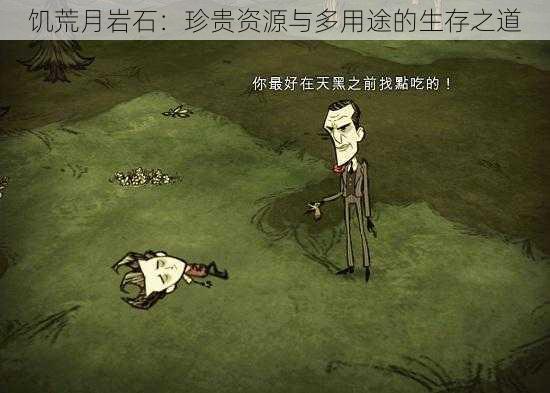 饥荒月岩石:珍贵资源与多用途的生存之道