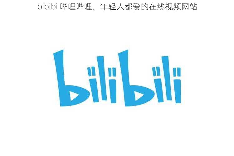 bibibi 哔哩哔哩,年轻人都爱的在线视频网站