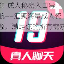 91 成人秘密入口导航——汇聚海量成人资源,满足你的所有需求