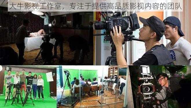 大牛影视工作室,专注于提供高品质影视内容的团队