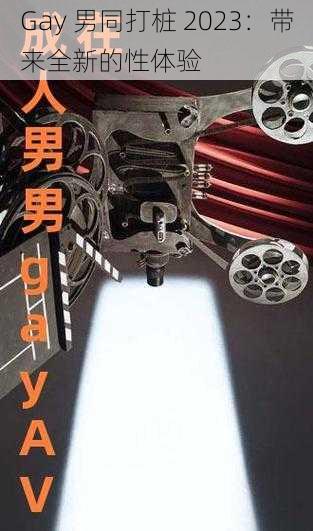 Gay 男同打桩 2023:带来全新的性体验