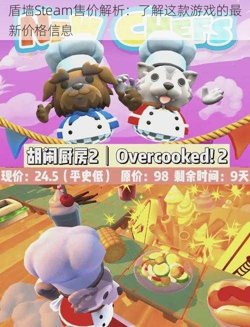 盾墙Steam售价解析:了解这款游戏的最新价格信息