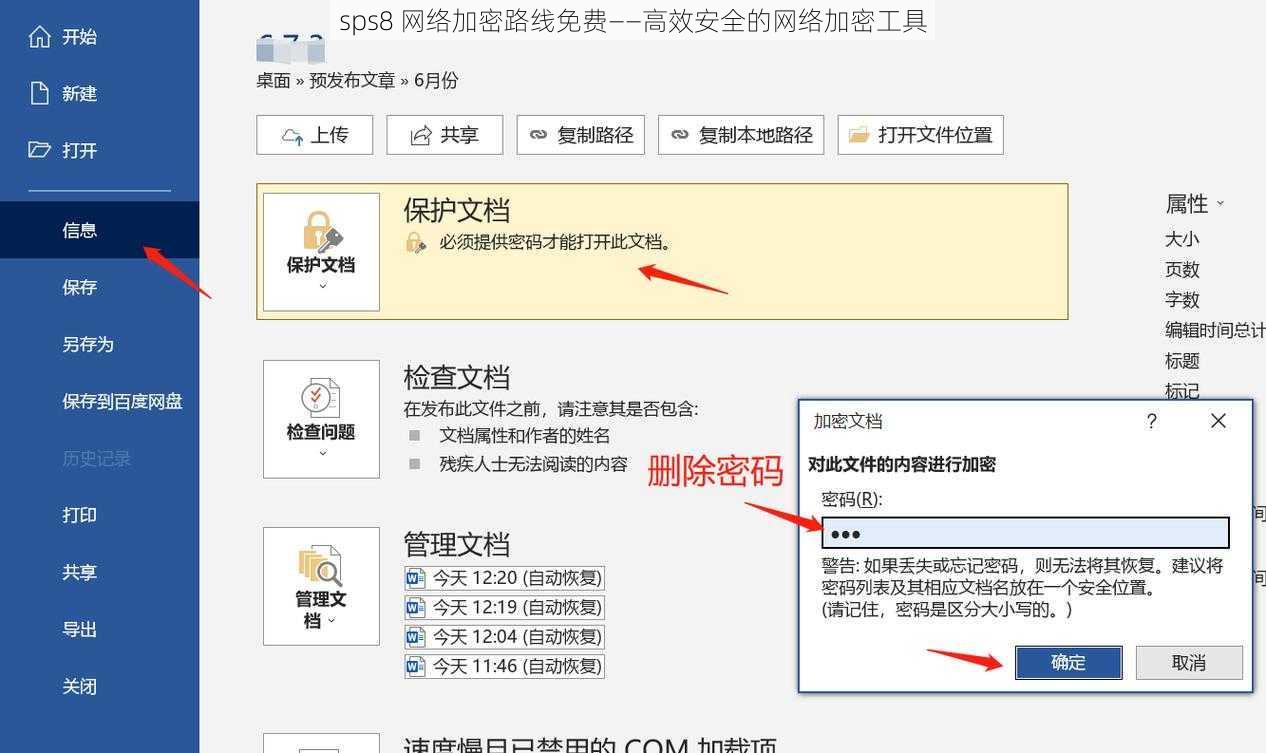 sps8 网络加密路线免费——高效安全的网络加密工具