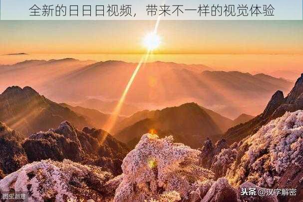 全新的日日日视频,带来不一样的视觉体验